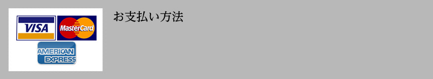 現金払い / クレジットカード払い(VISA,MASTER,AMERICAN EXPRESS,JCB)