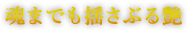 美を守り抜く極限の撥水