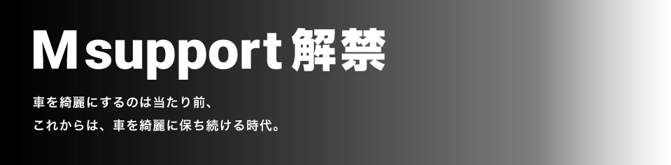 M support解禁