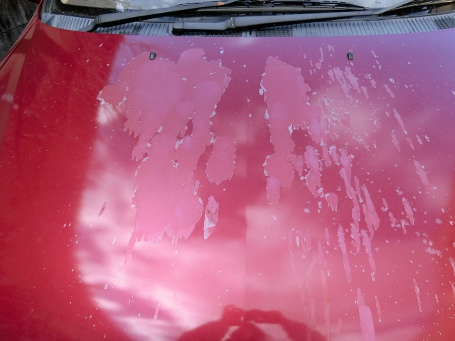 車に塗装剥がれが 修理料金の相場は 自分で補修は可能 ガラスコーティング大阪 横浜