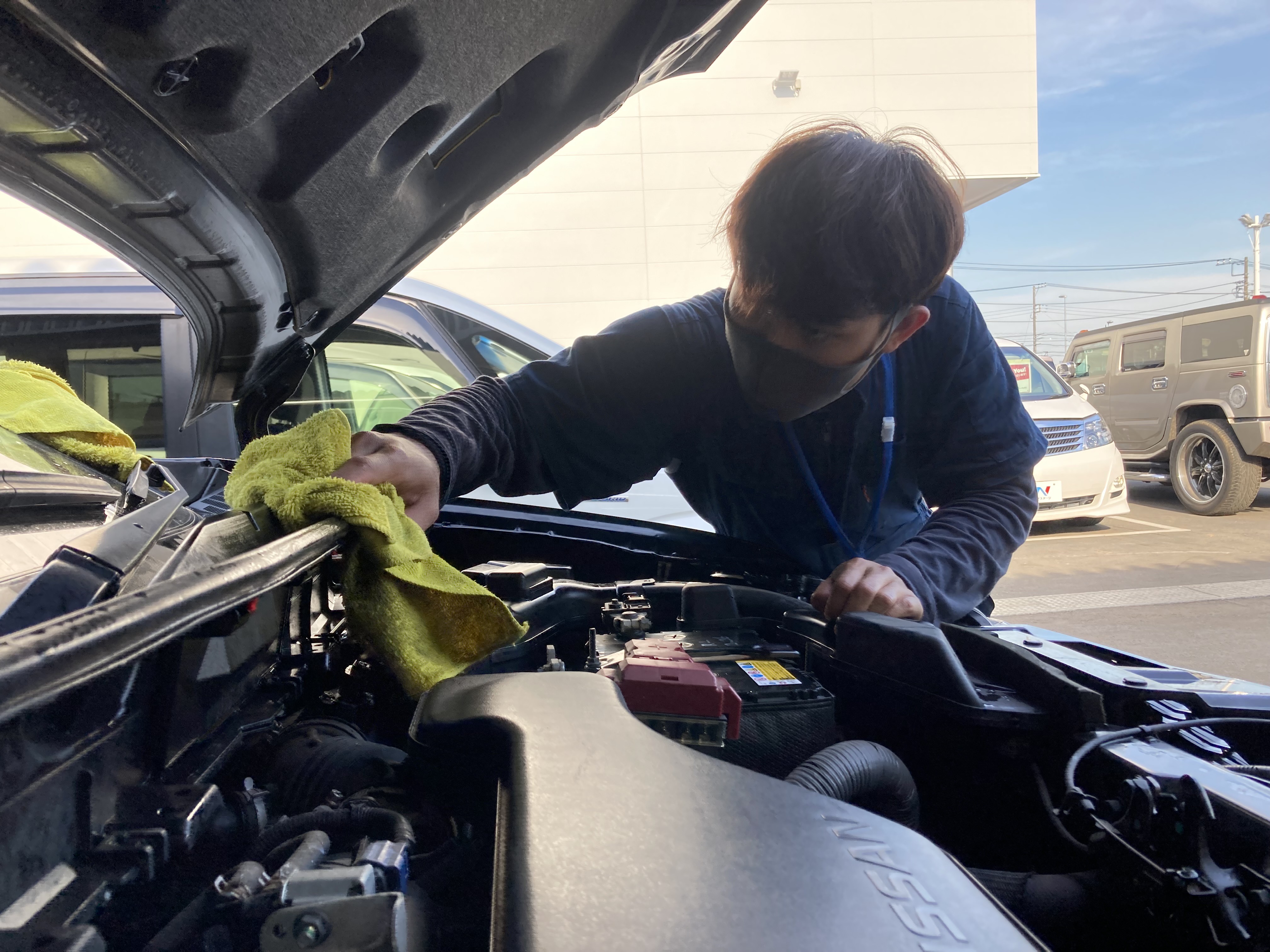 フィッテラネンデイファジャレカ